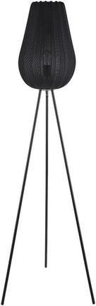 Angele Modern Black Floor Lamp Home Decor > Lighting > Lamp > Floor Lamps TriadCommerceInc 62"H x 17"W x 17"D