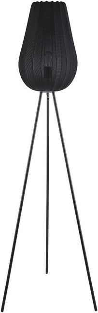 Angele Modern Black Floor Lamp Home Decor > Lighting > Lamp > Floor Lamps TriadCommerceInc 62"H x 17"W x 17"D