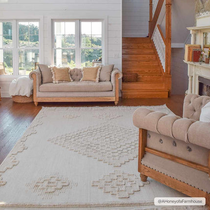 Rosales High-Low Rustic Rug Rugs TriadCommerceInc