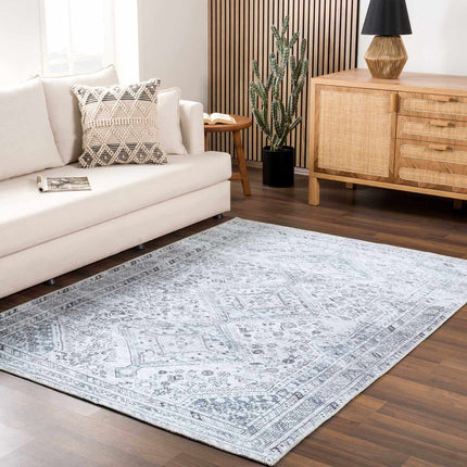Barny Gray Flat Pile Washable Rug Rugs TriadCommerceInc 2' x 2'11" Rectangle