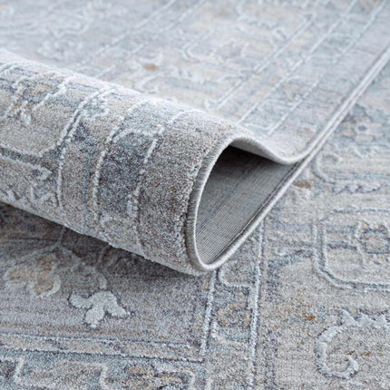 Earlsfield Statement Rug Rugs TriadCommerceInc 2'7" x 4' Rectangle