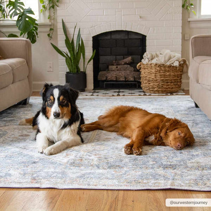Afya Flat Pile Washable Rug Rugs TriadCommerceInc