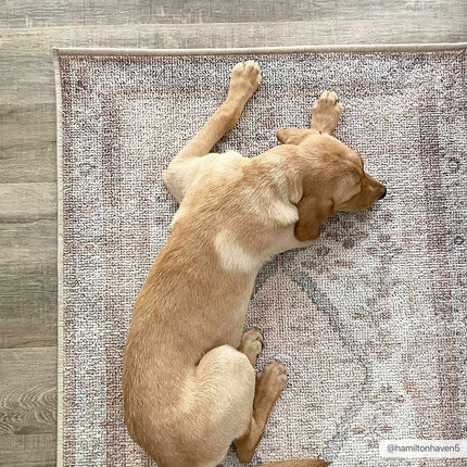 Analu Non-Slip Washable Rug Rugs TriadCommerceInc
