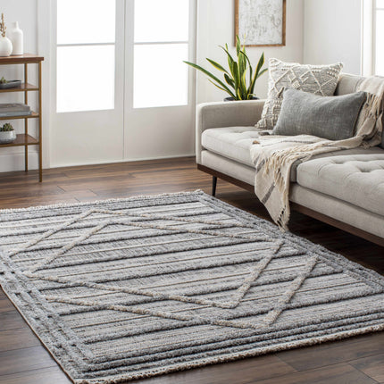 Barurao Area Rug - Clearance Rugs TriadCommerceInc
