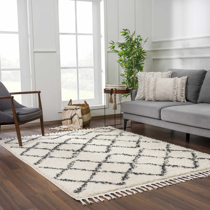 Wallagrass Moroccan Shag Rug - Clearance Rugs TriadCommerceInc 5'3" x 7'3" Rectangle