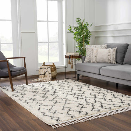 Pahala Moroccan Shag Rug - Clearance Rugs TriadCommerceInc