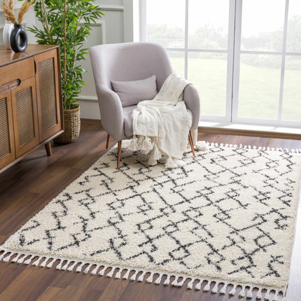 Pahala Moroccan Shag Rug - Clearance Rugs TriadCommerceInc
