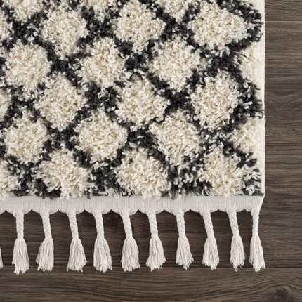 Muni Berber Shag Rug - Clearance Rugs TriadCommerceInc