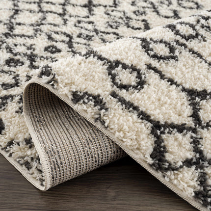Muni Berber Shag Rug - Clearance Rugs TriadCommerceInc