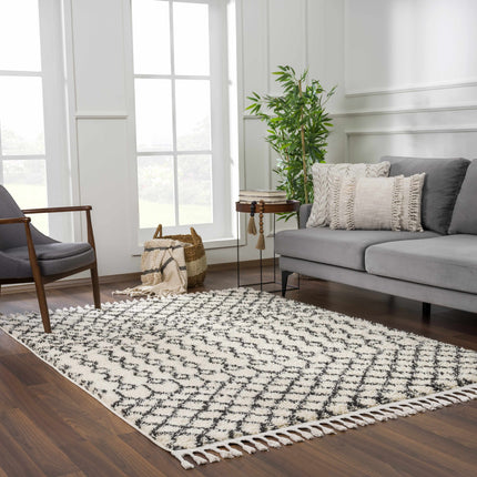 Muni Berber Shag Rug - Clearance Rugs TriadCommerceInc