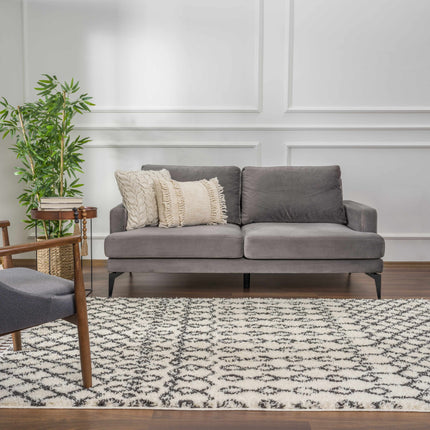 Muni Berber Shag Rug - Clearance Rugs TriadCommerceInc