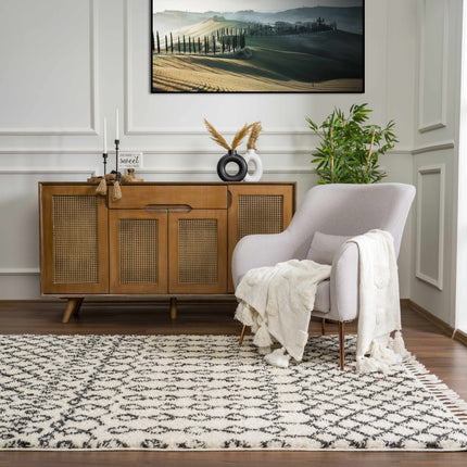 Muni Berber Shag Rug - Clearance Rugs TriadCommerceInc