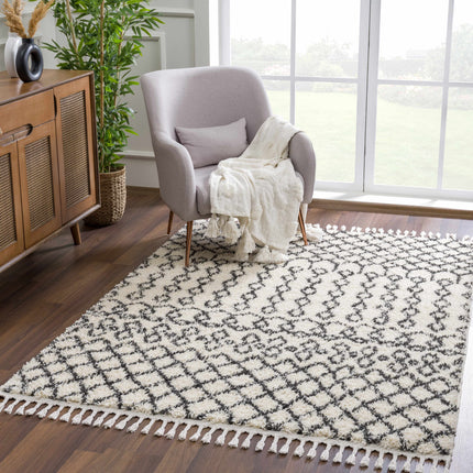 Muni Berber Shag Rug - Clearance Rugs TriadCommerceInc 5'3" x 7'3" Rectangle