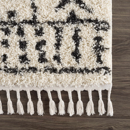 Hauppauge Berber Shag Carpet Rugs TriadCommerceInc