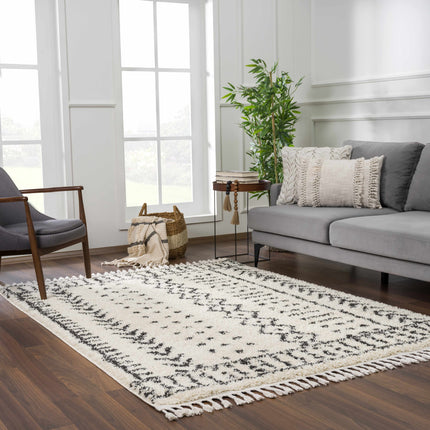 Hauppauge Berber Shag Carpet Rugs TriadCommerceInc