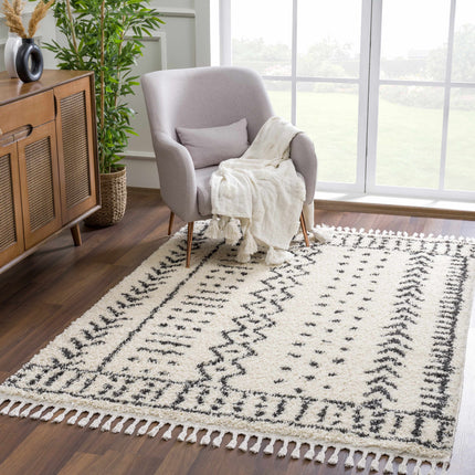 Hauppauge Berber Shag Carpet Rugs TriadCommerceInc