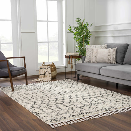 Kibureau Area Rug - Clearance Rugs TriadCommerceInc
