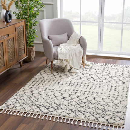 Kibureau Area Rug - Clearance Rugs TriadCommerceInc