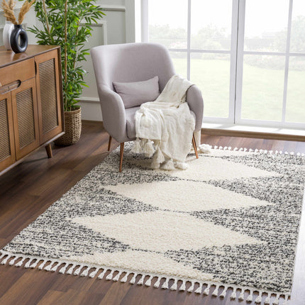 Howth Area Rug Rugs TriadCommerceInc * 5'3" x 7'3" Rectangle