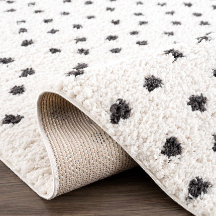 Chaia Dotted Black & White Plush Rug Rugs TriadCommerceInc