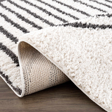 Bauer Plush Black Rainbow Rug - Clearance Rugs TriadCommerceInc