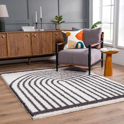 Bauer Plush Black Rainbow Rug - Clearance Rugs TriadCommerceInc