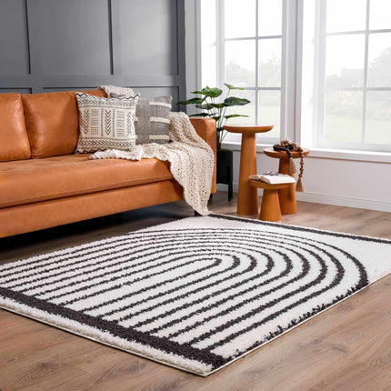 Bauer Plush Black Rainbow Rug - Clearance Rugs TriadCommerceInc