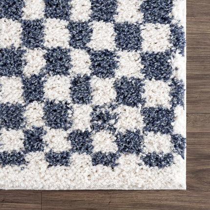 Kieu Blue & White Checkered Area Rug Rugs TriadCommerceInc