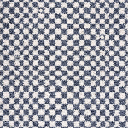 Kieu Blue & White Checkered Area Rug Rugs TriadCommerceInc