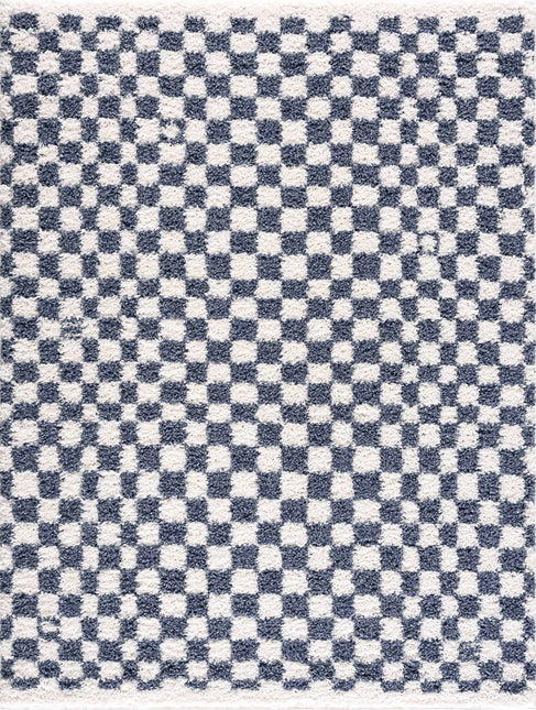 Kieu Blue & White Checkered Area Rug Rugs TriadCommerceInc