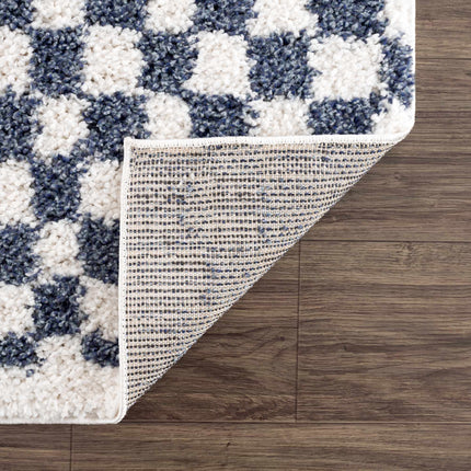 Kieu Blue & White Checkered Area Rug Rugs TriadCommerceInc