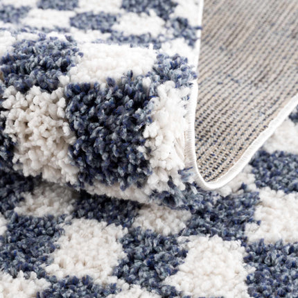 Kieu Blue & White Checkered Area Rug Rugs TriadCommerceInc