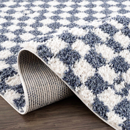 Kieu Blue & White Checkered Area Rug Rugs TriadCommerceInc