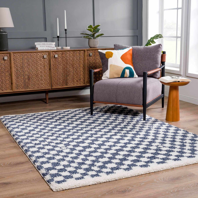 Kieu Blue & White Checkered Area Rug Rugs TriadCommerceInc