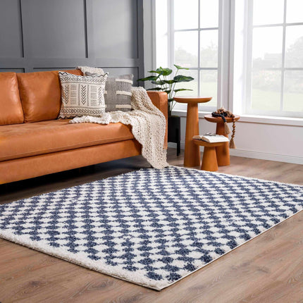 Kieu Blue & White Checkered Area Rug Rugs TriadCommerceInc