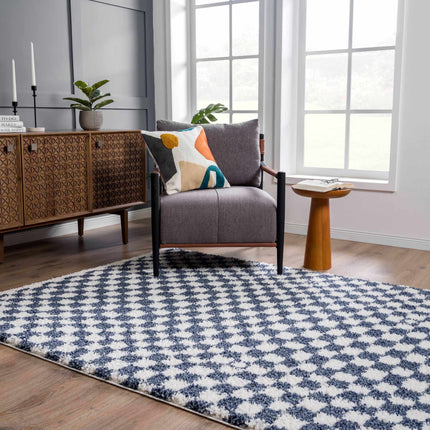 Kieu Blue & White Checkered Area Rug Rugs TriadCommerceInc