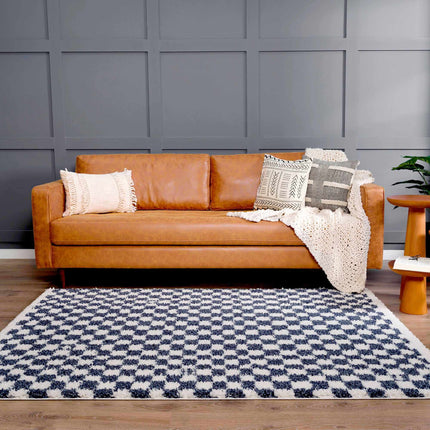 Kieu Blue & White Checkered Area Rug Rugs TriadCommerceInc