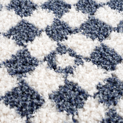Kieu Blue & White Checkered Area Rug Rugs TriadCommerceInc