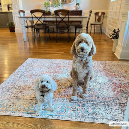 Beck Non-Slip Washable Rug Rugs TriadCommerceInc 5'3" x 7' Rectangle