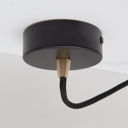 Knuckle Pendant Light in Oak Home Decor > Lighting > Ceiling Lights > Pendant Lights TriadCommerceInc