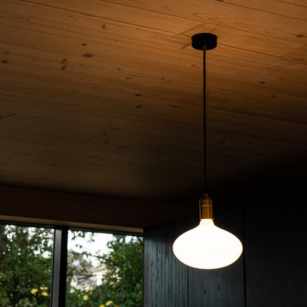 Oval II Pendant Light in Brass Home Decor > Lighting > Ceiling Lights > Pendant Lights TriadCommerceInc