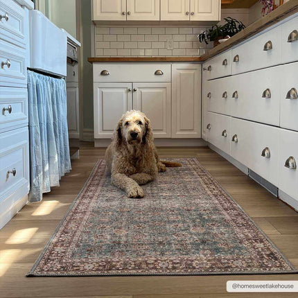 Brown Blue Dauis Vintage Washable Area Rug - Clearance Rugs TriadCommerceInc 2'7" x 10' Runner