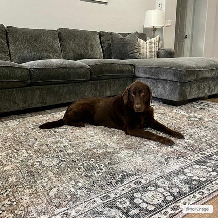Ganyangan Washable Rug Rugs TriadCommerceInc
