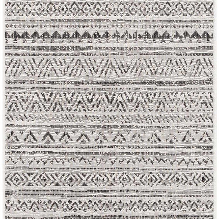 Catrine Indoor & Outdoor Rug - Clearance Rugs TriadCommerceInc