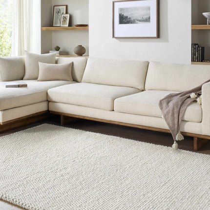 Clayne Beige Premium Wool Area Rug Rugs TriadCommerceInc