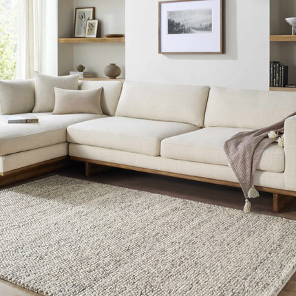 Clayne Beige & Charcoal Premium Wool Area Rug Rugs TriadCommerceInc