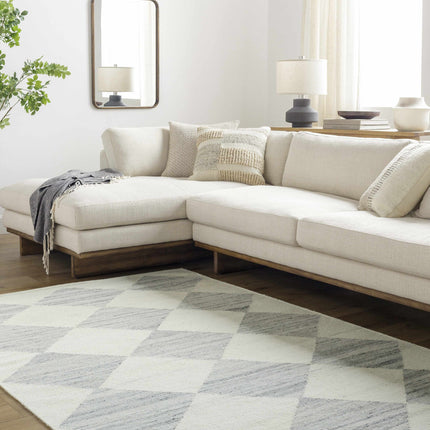 Vivir x Livabliss Antho Light Gray Diamond Rug Rugs TriadCommerceInc