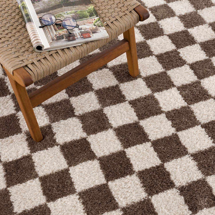 Canika Brown Washable Checkered Area Rug Rugs TriadCommerceInc 2' x 2'11" Rectangle