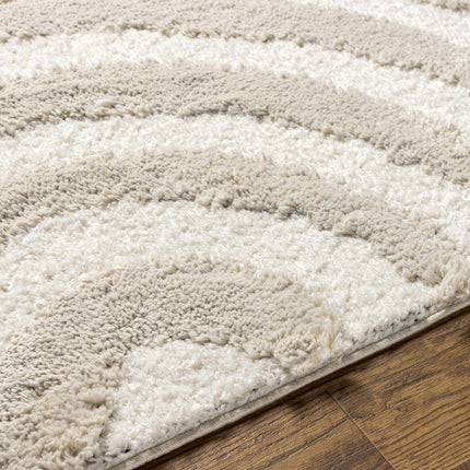 High-Low Shag Rainbow Rug - Clearance Rugs TriadCommerceInc