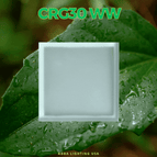 Warm White / None / None